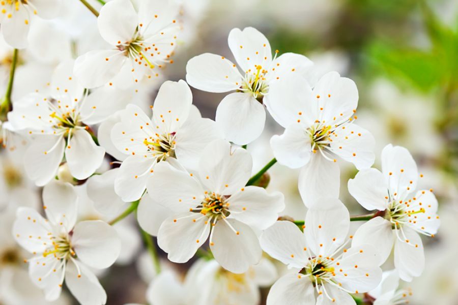 Annuleren OVN-bijeenkomst van 14 april