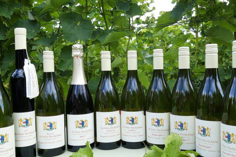 Bericht Wijngaard De Kruithof