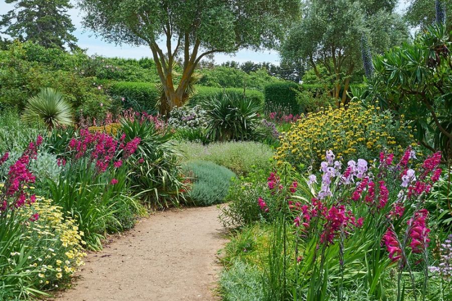 Gardenista groot succes